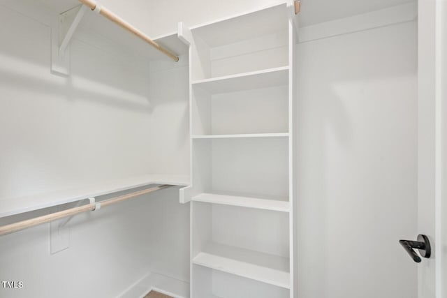 2205 Tampa Ave, Durham, NC 27705 - view of spacious closet
