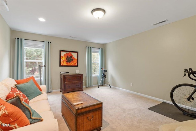 109 Willow View Ln, Apex, NC 27539 - photo 31