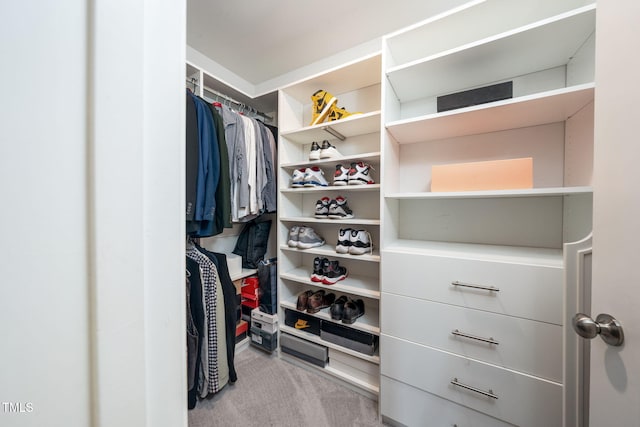1143 Sweet Cream Ct, Durham, NC 27703 - spacious closet with carpet flooring