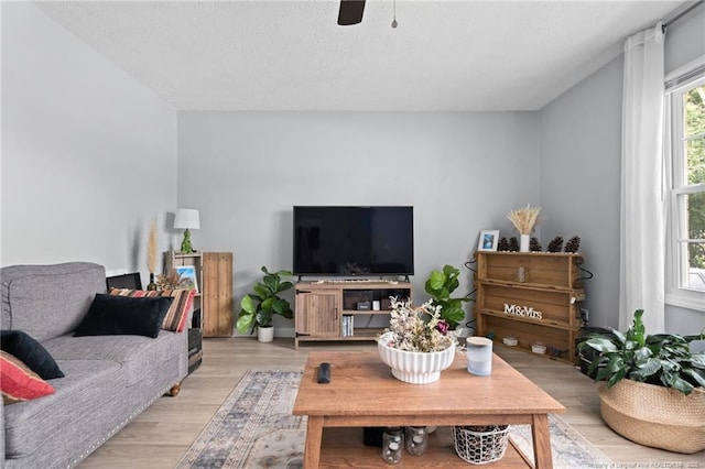 4450 Chesterbrook Dr, Fayetteville, NC 28314 - living room featuring light wood finished floors and ceiling fan