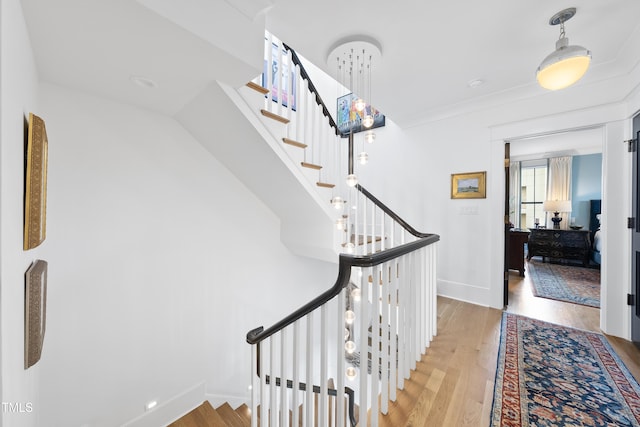 149 S Bloodworth St, Raleigh, NC 27601 - photo 45