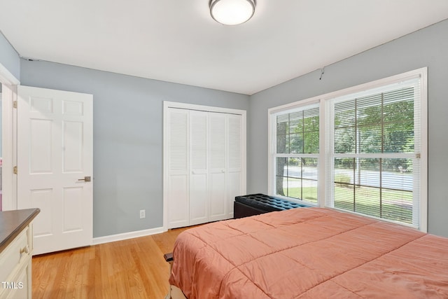 213 SE Maynard Rd, Cary, NC 27511 - bedroom featuring light wood-type flooring and a closet