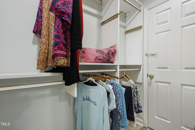 720 Springfork Dr, Cary, NC 27513 - view of walk in closet