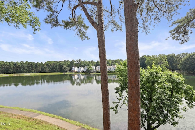 720 Springfork Dr, Cary, NC 27513 - water view with a heavily wooded area