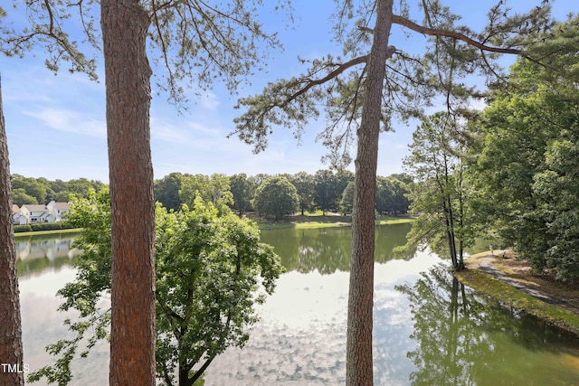 720 Springfork Dr, Cary, NC 27513 - water view