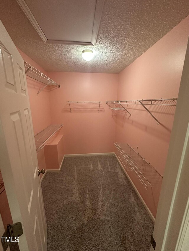 216 Parrish Farm Ln, Benson, NC 27504 - spacious closet featuring carpet floors