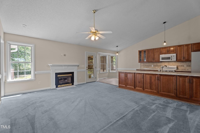 216 Parrish Farm Ln, Benson, NC 27504 - photo 7