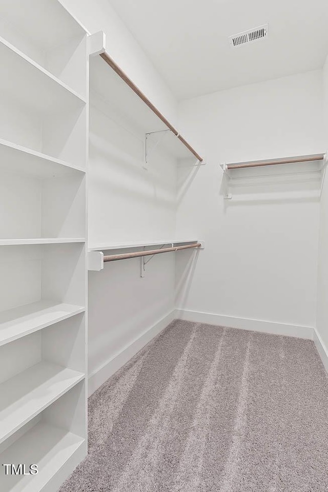 136 E End Ave, Durham, NC 27703 - walk in closet with carpet floors