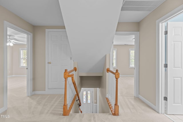 1806 White Dogwood Rd, Apex, NC 27502 - staircase with carpet floors, plenty of natural light, and ceiling fan