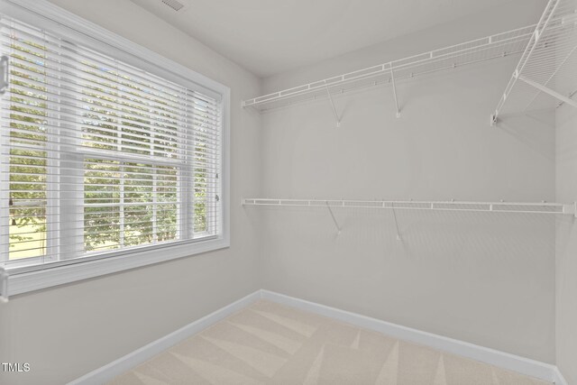 1806 White Dogwood Rd, Apex, NC 27502 - spacious closet with carpet flooring