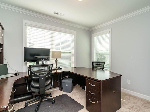 1004 Dogwood Bloom Ln, Knightdale, NC 27545 - office area featuring crown molding and light colored carpet