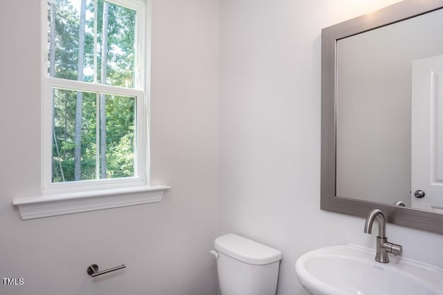4703 Mint Leaf Ln, Raleigh, NC 27612 - half bath featuring healthy amount of natural light