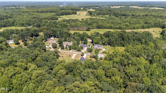 6089 Joe Trail Ct, Mebane, NC 27302 - photo 49
