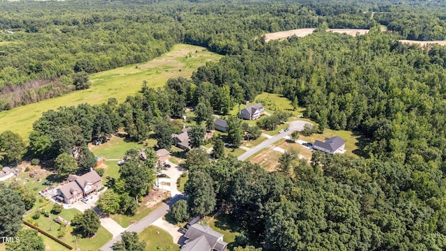 6089 Joe Trail Ct, Mebane, NC 27302 - photo 53