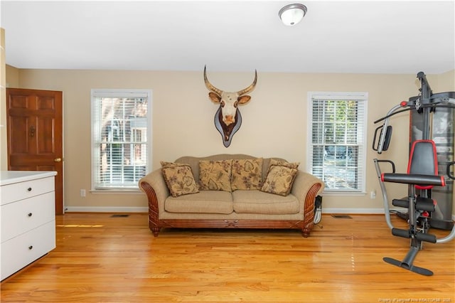 387 Three Bridge Rd, Dunn, NC 28334 - exercise room featuring baseboards and light wood-style flooring