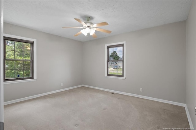 7779 Buttonwood Ave, Fayetteville, NC 28314 - photo 31