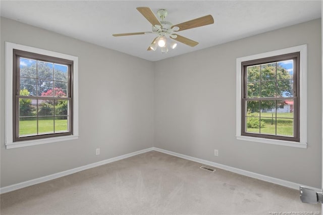 7779 Buttonwood Ave, Fayetteville, NC 28314 - photo 34