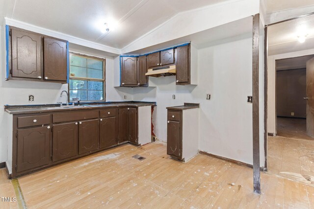 3170 Loblolly Ln, Wake Forest, NC 27587 - kitchen with under cabinet range hood, dark brown cabinetry, lofted ceiling, light wood finished floors, and dark countertops