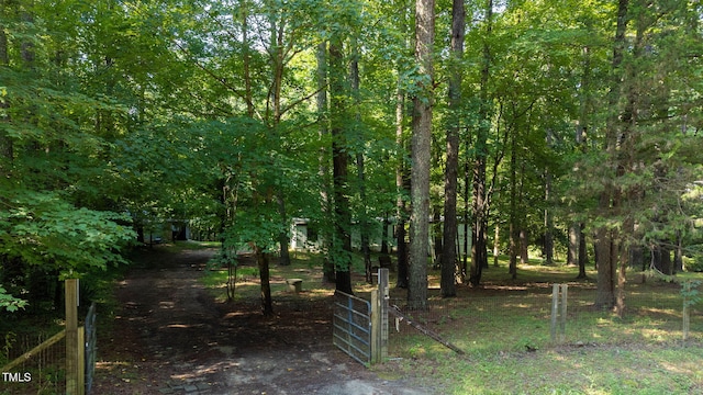 3170 Loblolly Ln, Wake Forest, NC 27587 - view of nature