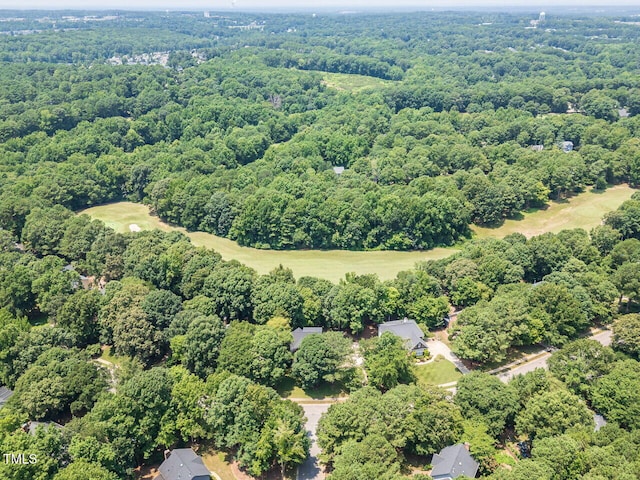 5032 Salem Ridge Rd, Holly Springs, NC 27540 - bird's eye view of a forest