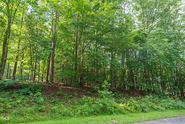 136 Nakoma Dr, Louisburg, NC 27549