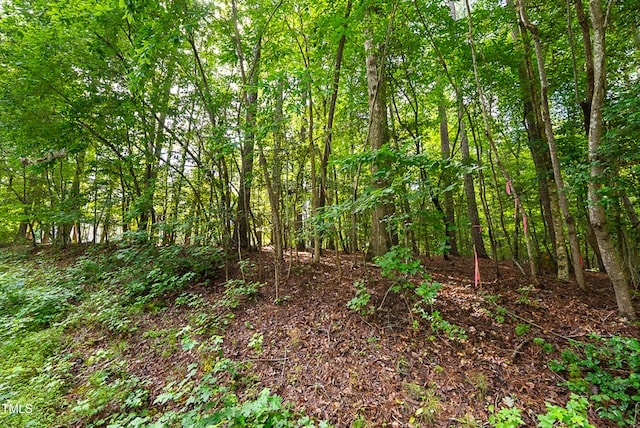 136 Nakoma Dr, Louisburg, NC 27549