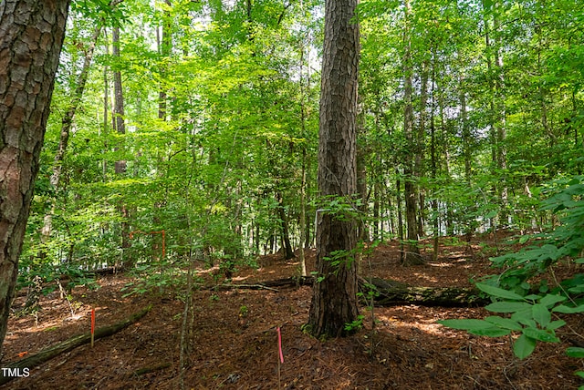 136 Nakoma Dr, Louisburg, NC 27549