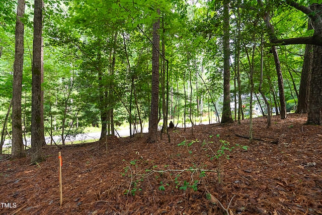136 Nakoma Dr, Louisburg, NC 27549