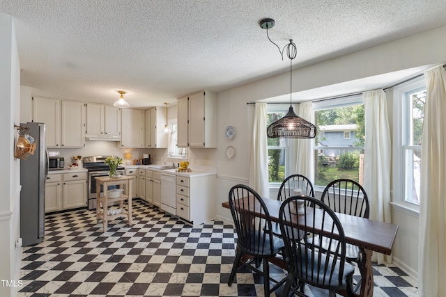 107 Leighton Pl, Knightdale, NC 27545 - kitchen with stainless steel appliances, under cabinet range hood, tile patterned floors, a textured ceiling, and light countertops