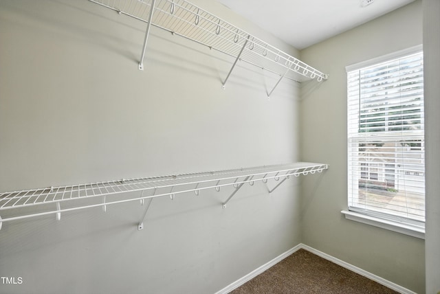 8310 Chimneycap Dr, Raleigh, NC 27613 - photo 22