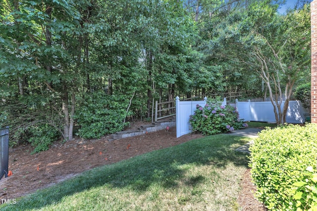 4710 Ludwell Branch Ct, Raleigh, NC 27612 - view of yard