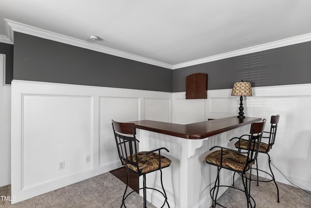 2512 Stewart St, Fuquay Varina, NC 27526 - bar area with carpet flooring, ornamental molding, a wainscoted wall, and a decorative wall