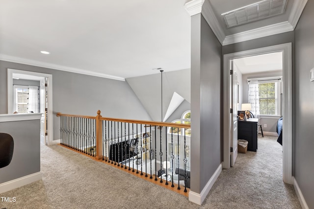 2512 Stewart St, Fuquay Varina, NC 27526 - corridor with carpet and ornamental molding