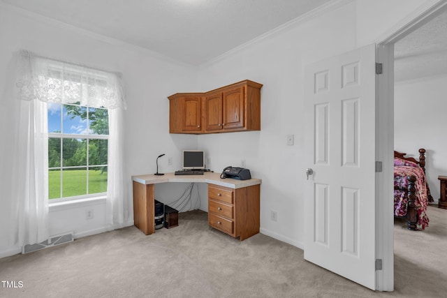 9633 Grassy Creek Rd, Bullock, NC 27507 - office space with crown molding and light colored carpet