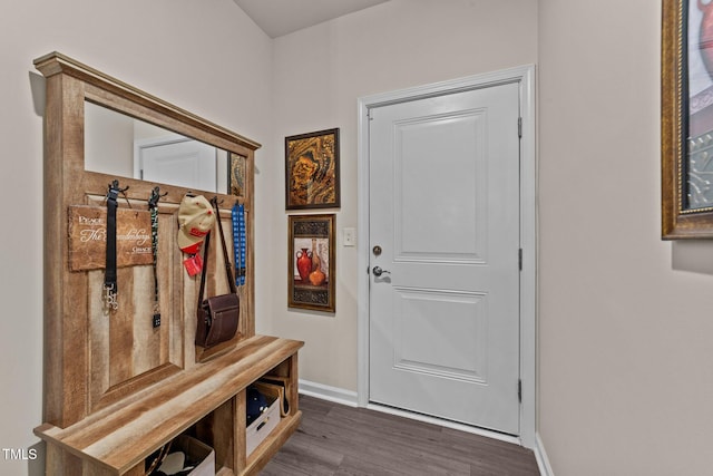 2370 Friars Head Ct, Fuquay Varina, NC 27526 - mudroom featuring dark wood-style flooring and baseboards