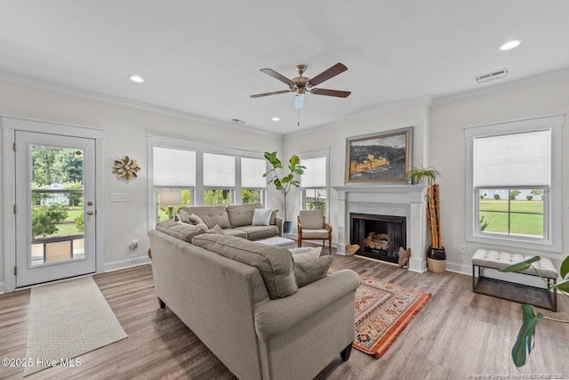 829 Warwick Ln, Carthage, NC 28327 - living area featuring ceiling fan, healthy amount of natural light, a fireplace, recessed lighting, and wood finished floors