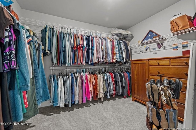 829 Warwick Ln, Carthage, NC 28327 - spacious closet with carpet flooring
