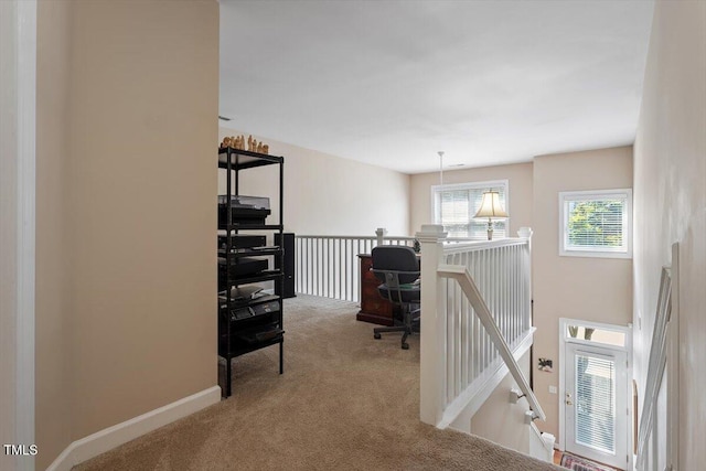 4742 Ludwell Branch Ct, Raleigh, NC 27612 - office with carpet floors and baseboards