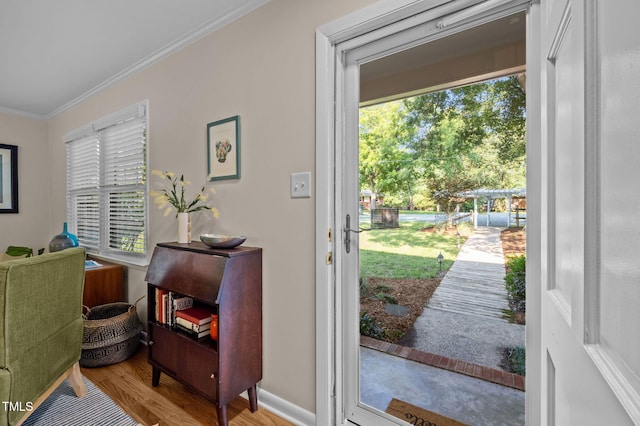 101 Hunter Pl, Carrboro, NC 27510 - entryway with ornamental molding and wood finished floors