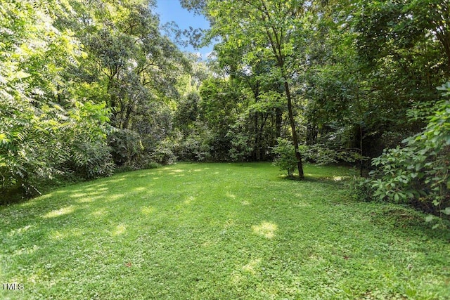 1300 Ruffin St, Durham, NC 27701 - view of green lawn featuring a view of trees