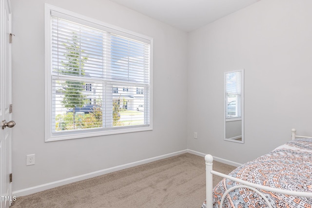 331 Sturgeon St, Smithfield, NC 27577 - carpeted bedroom with multiple windows
