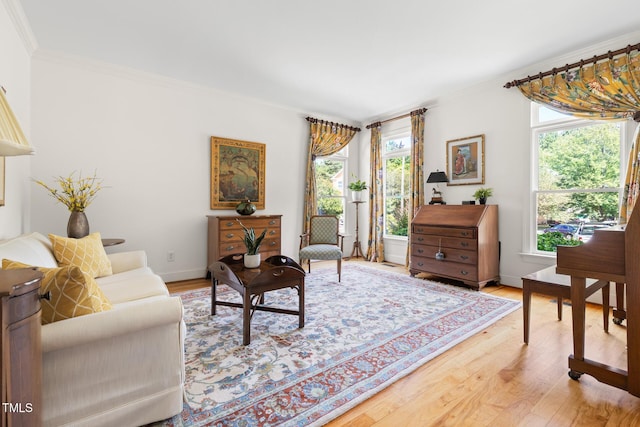 201 Weathervane Dr, Carrboro, NC 27510 - living area with ornamental molding and light wood-type flooring