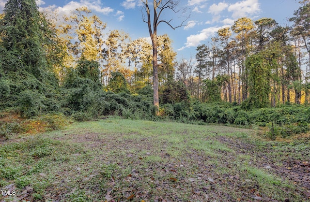 1451 Cimarron Pkwy, Wake Forest, NC 27587