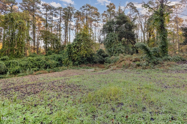 1451 Cimarron Pkwy, Wake Forest, NC 27587