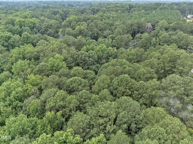 128 Chris Ct, Garner, NC 27529 - view of property location featuring a forest