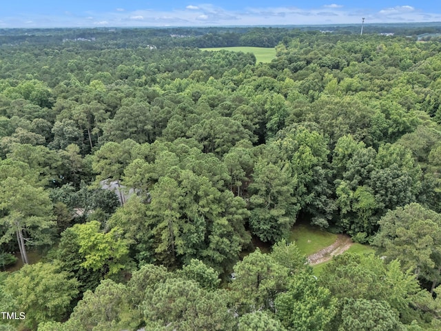 128 Chris Ct, Garner, NC 27529 - aerial view of property's location with a heavily wooded area
