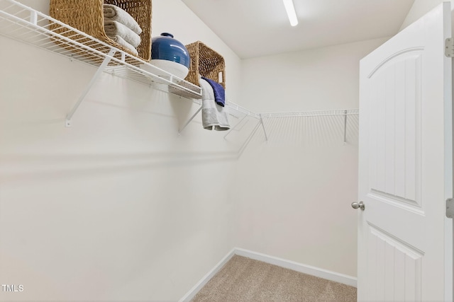 4520 Middletown Dr, Wake Forest, NC 27587 - spacious closet with carpet floors