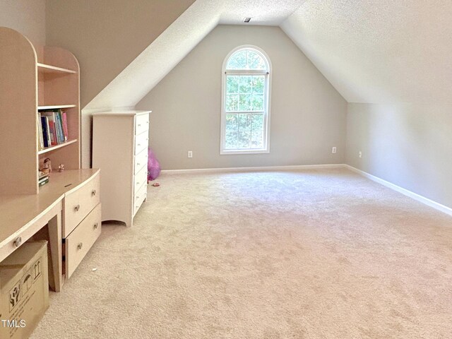 310 New Parkside Dr, Chapel Hill, NC 27516 - photo 10
