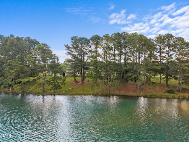 215 Collins Rd, Lillington, NC 27546 - photo 43
