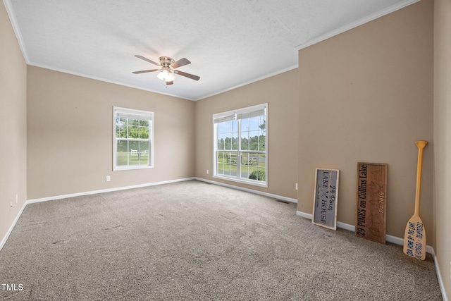 215 Collins Rd, Lillington, NC 27546 - photo 24